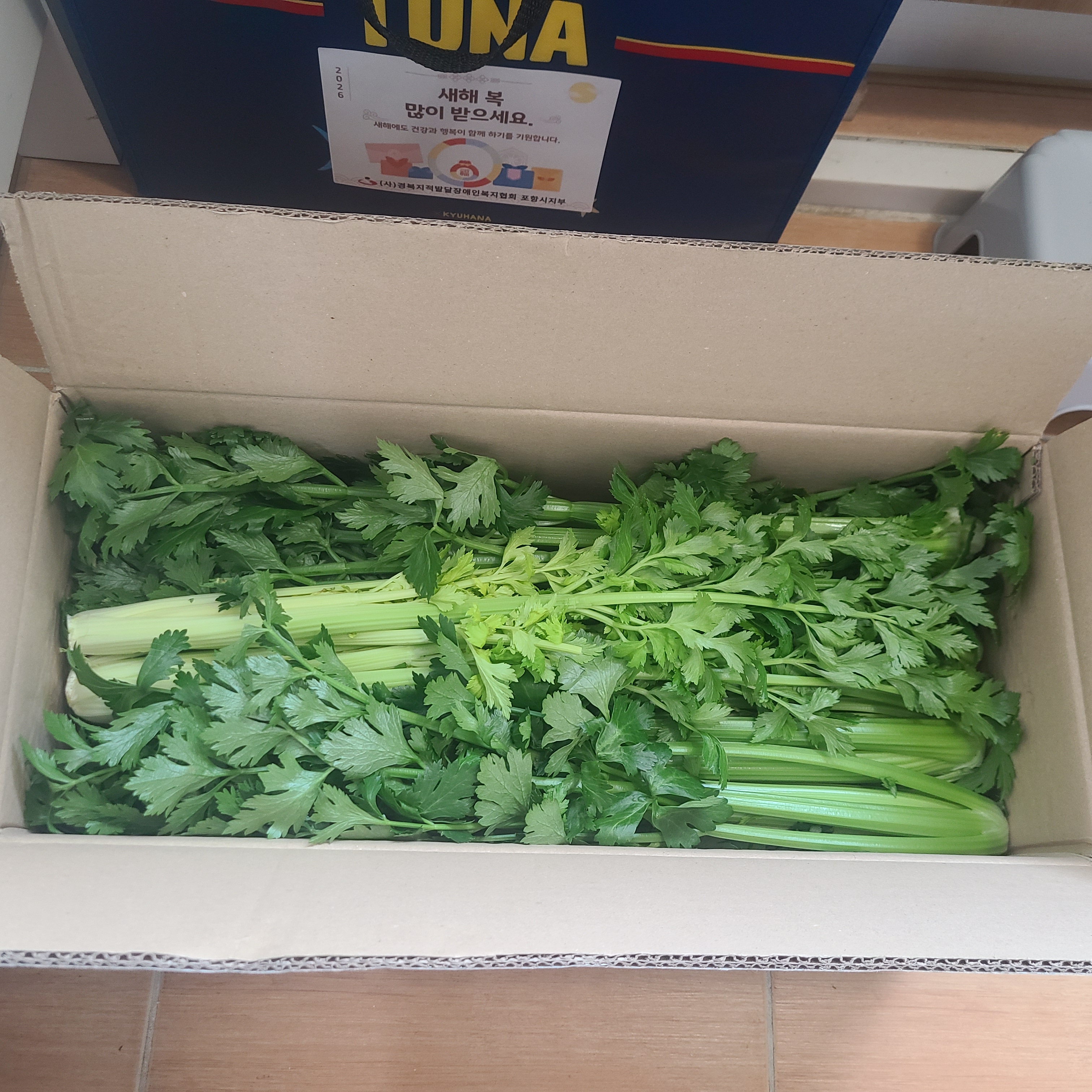 무농약 샐러리  3kg