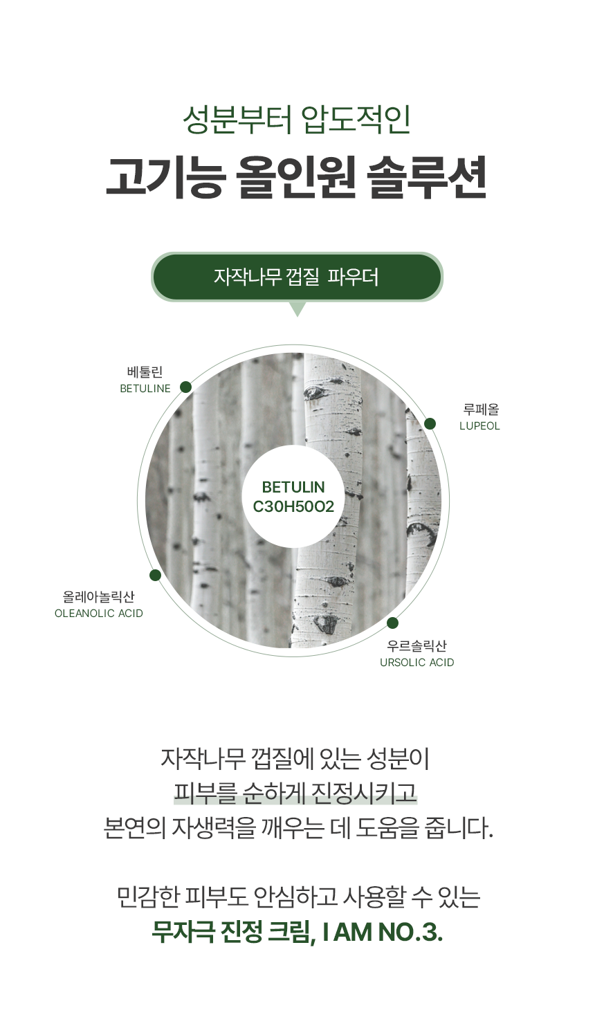 자자작나무 진정 솔루션 I am No.3 크림