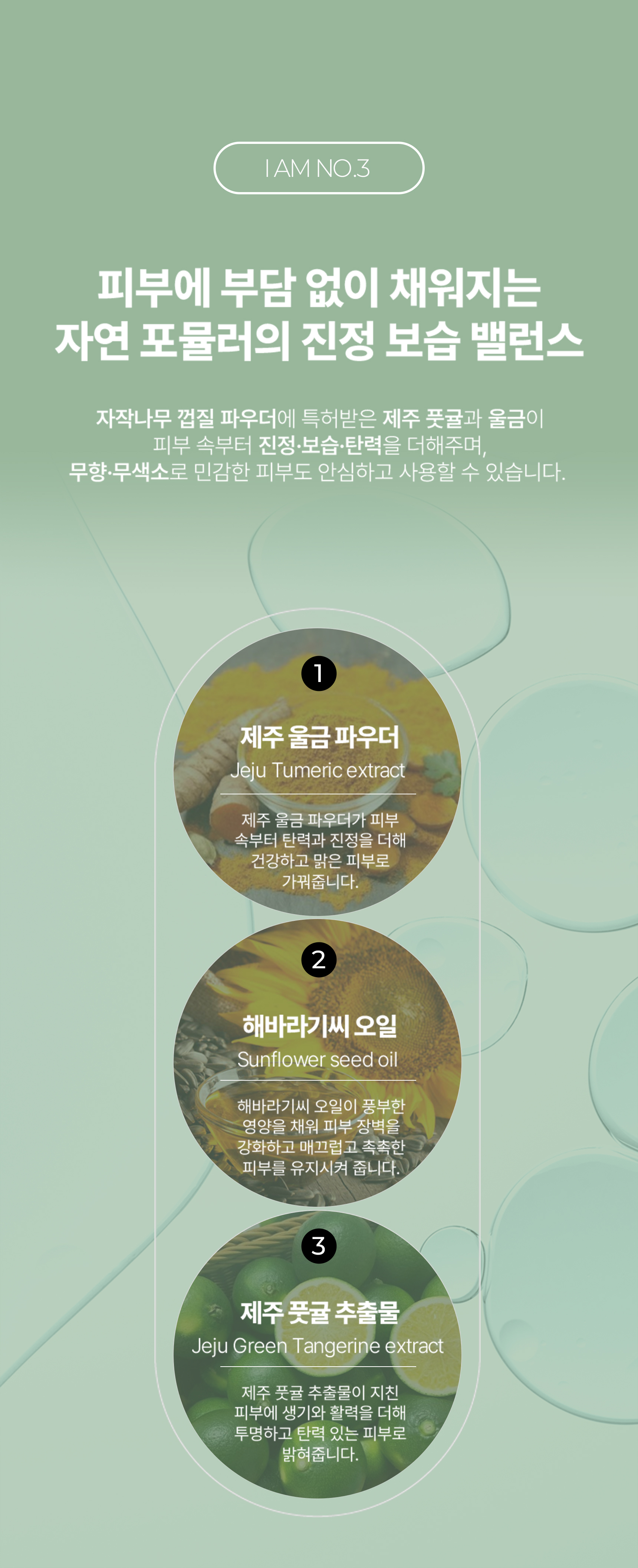 자자작나무 진정 솔루션 I am No.3 크림